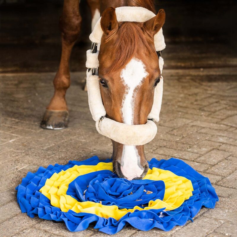 QHP SNUFFLE MAT TIL HESTE