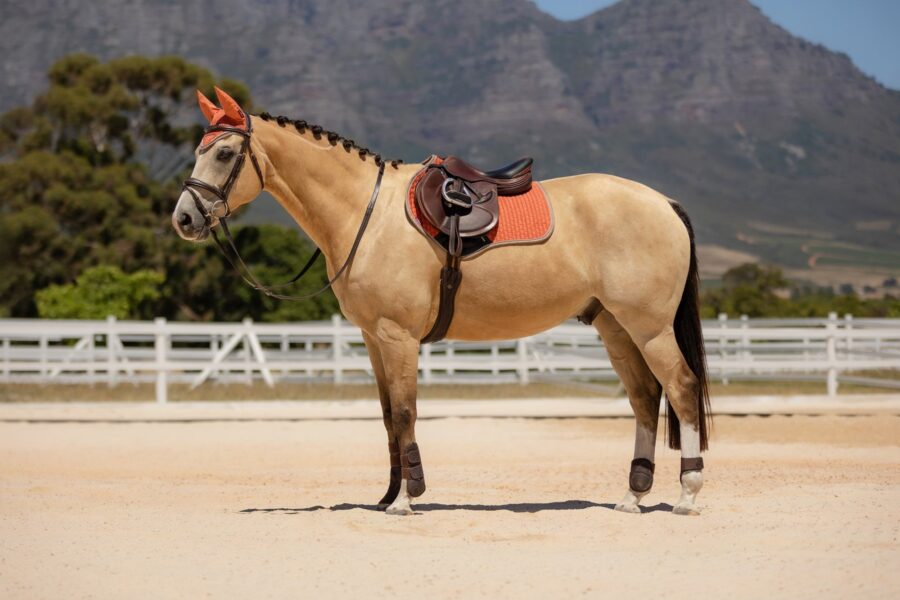 SPRINGUNDERLAG SUEDE - APRICOT - Image 5