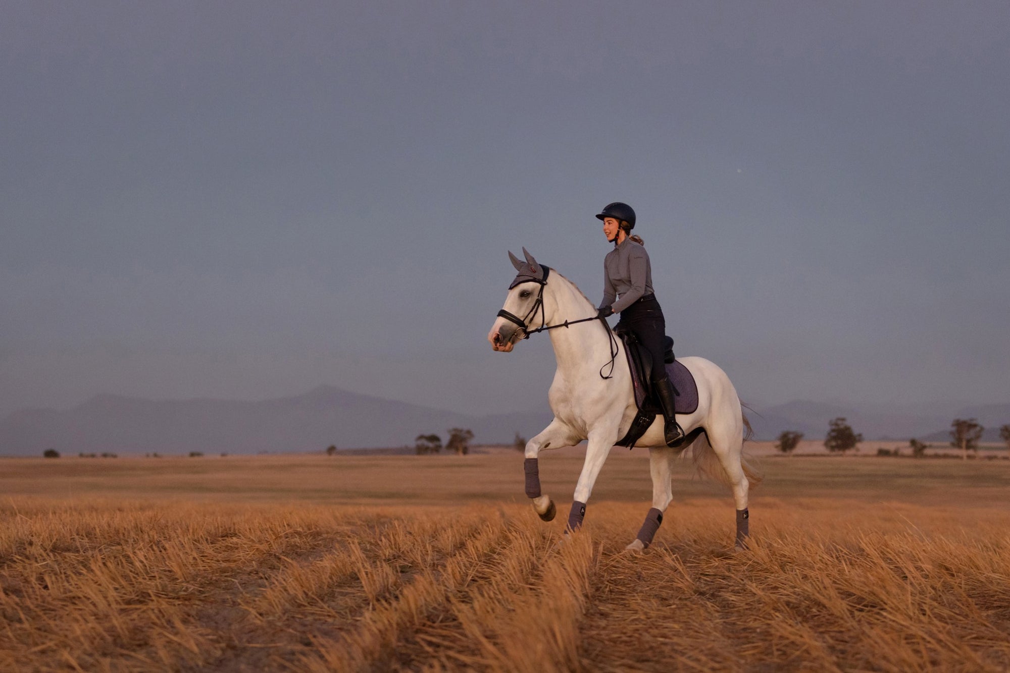 DRESSURUNDERLAG SUEDE - JAY BLUE - Image 5