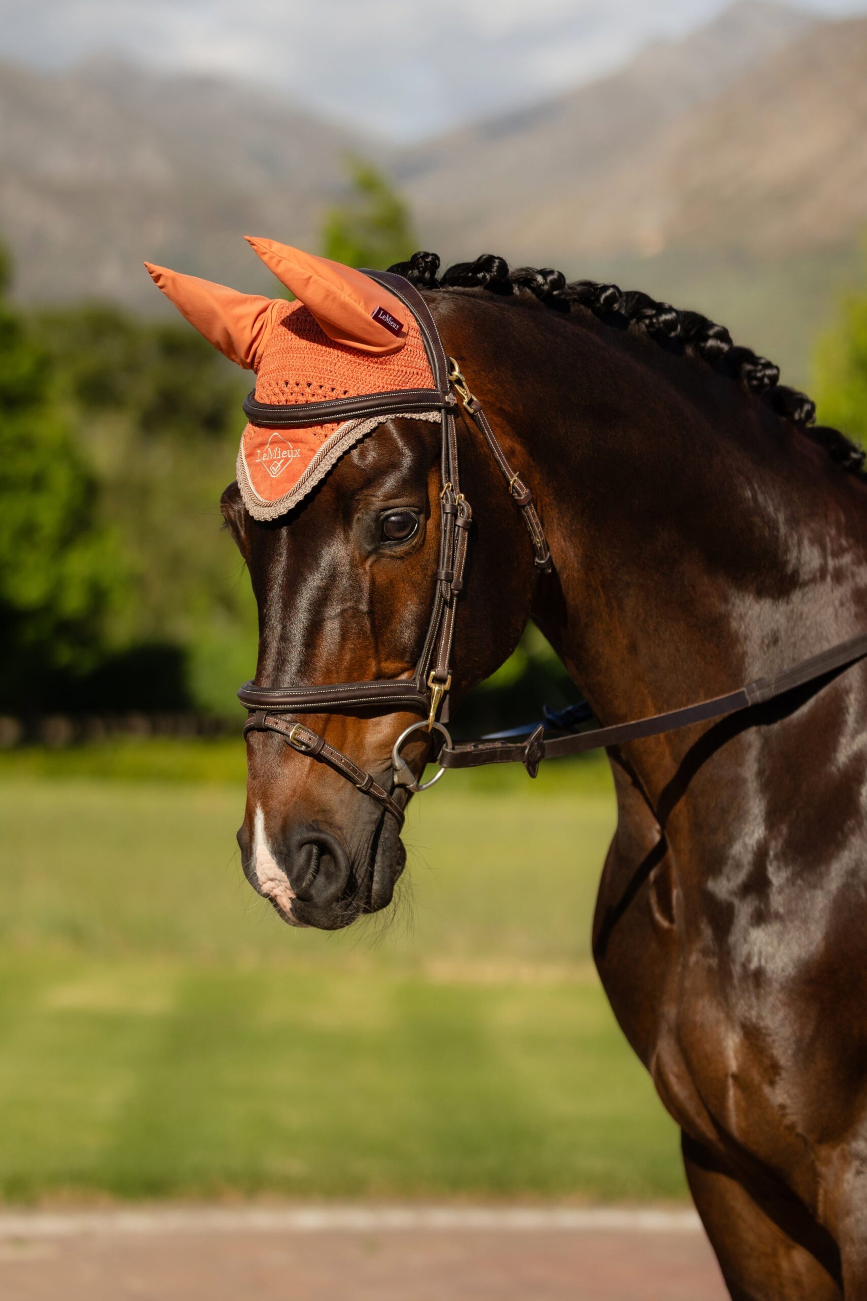 LEMIEUX HUT CLASSIC - APRICOT - Image 3