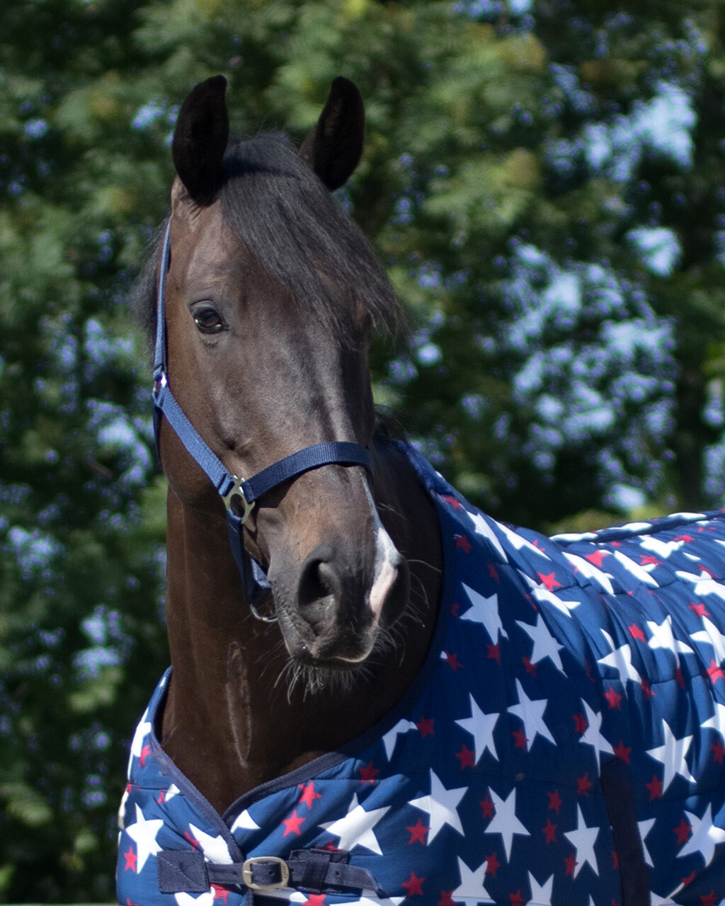 QHP GRIME SLIDE - Image 19