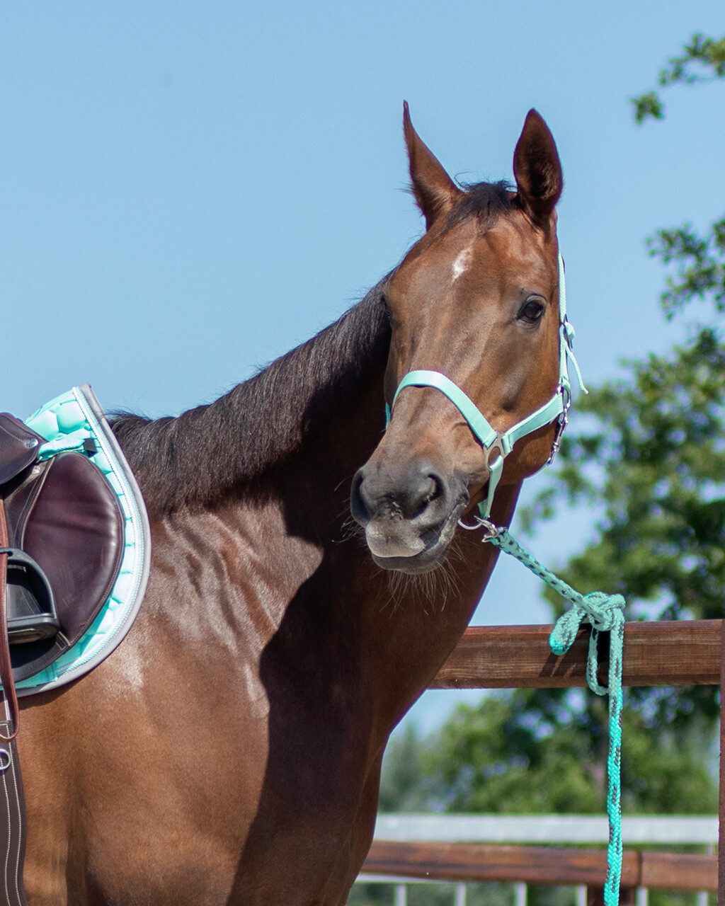 QHP GRIME SLIDE - Image 10