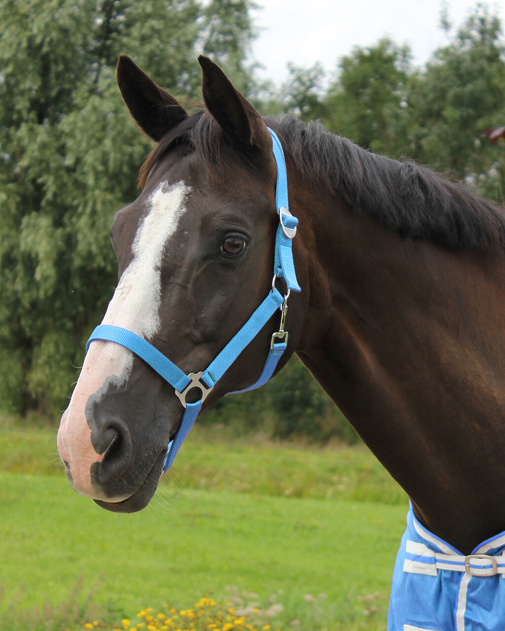 QHP GRIME SLIDE - Image 3