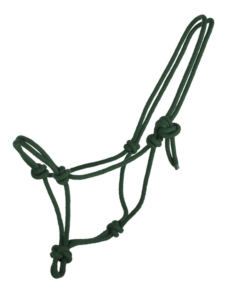 REBGRIME BASIC - Image 2