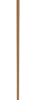 SPRINGPISK COGNAC