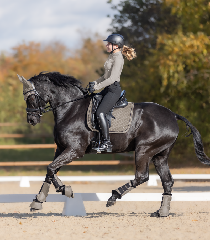 WALDHAUSEN DRESSURGAMACHER PEGASUS - Image 4