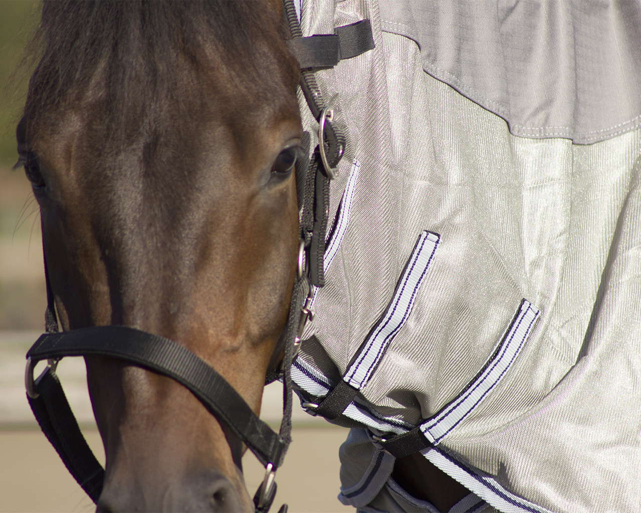 INSEKTDÆKKEN MED HALS "COMBO" - Image 3