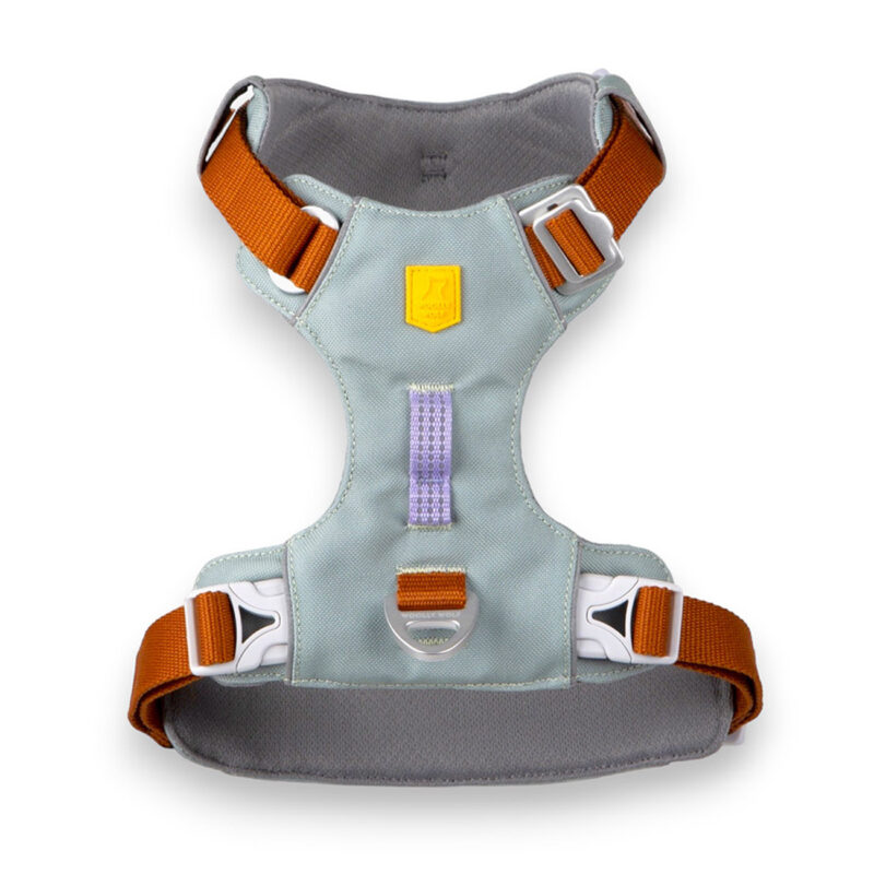 HUNDESELE ALPHA 360 - GLACIER GREEN - Image 2