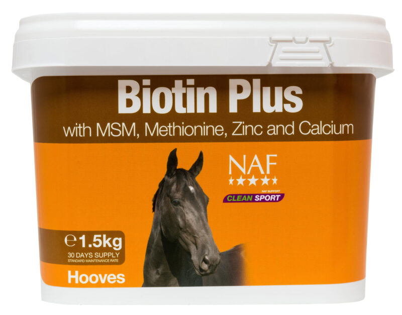 BIOTIN PLUS - 1,5 KG