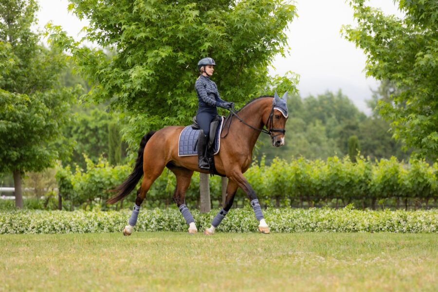 LEMIEUX DRESSURUNDERLAG LOIRE CLASSIC - JAY BLUE - Image 6