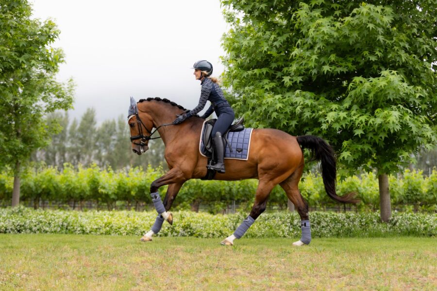 LEMIEUX DRESSURUNDERLAG LOIRE CLASSIC - JAY BLUE - Image 7