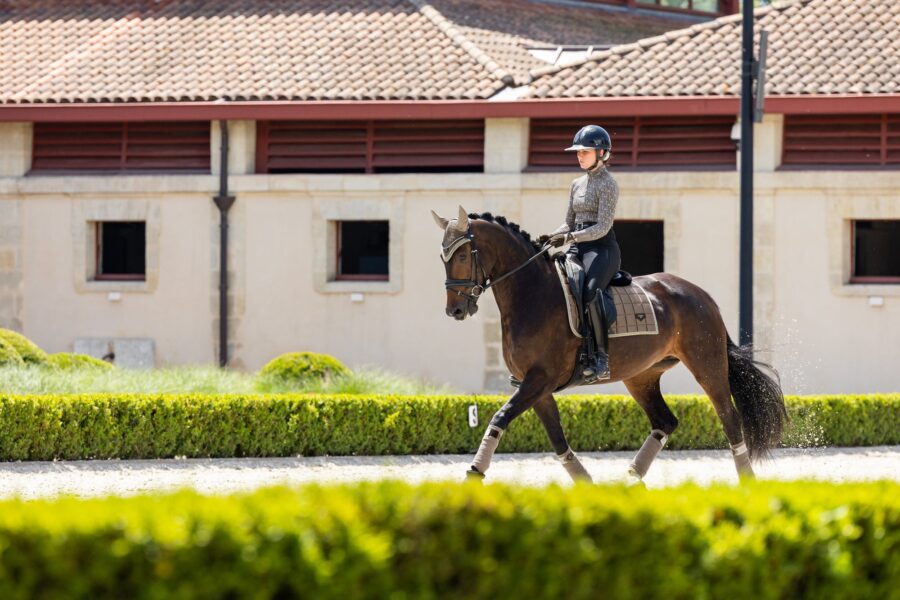 LEMIEUX DRESSURUNDERLAG LOIRE CLASSIC - JAY BLUE - Image 4