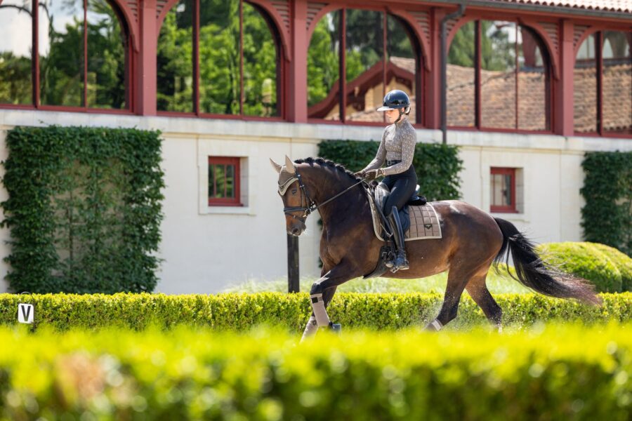 LEMIEUX DRESSURUNDERLAG LOIRE CLASSIC - JAY BLUE - Image 3