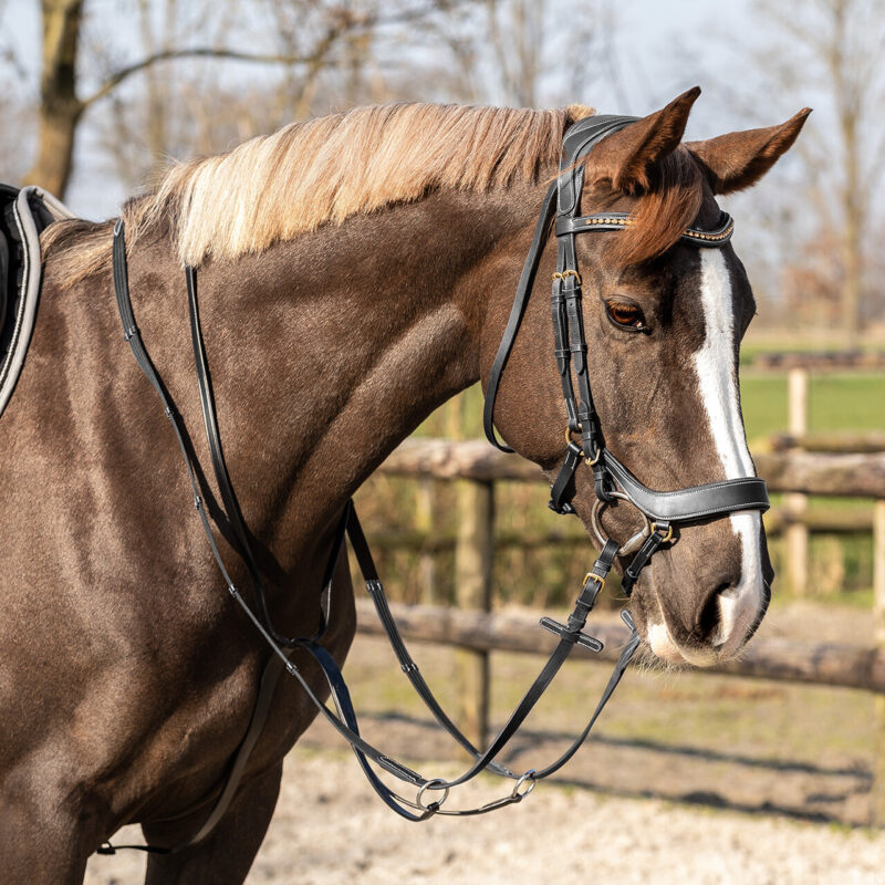 QHP MARTINGAL BASIC - Image 2