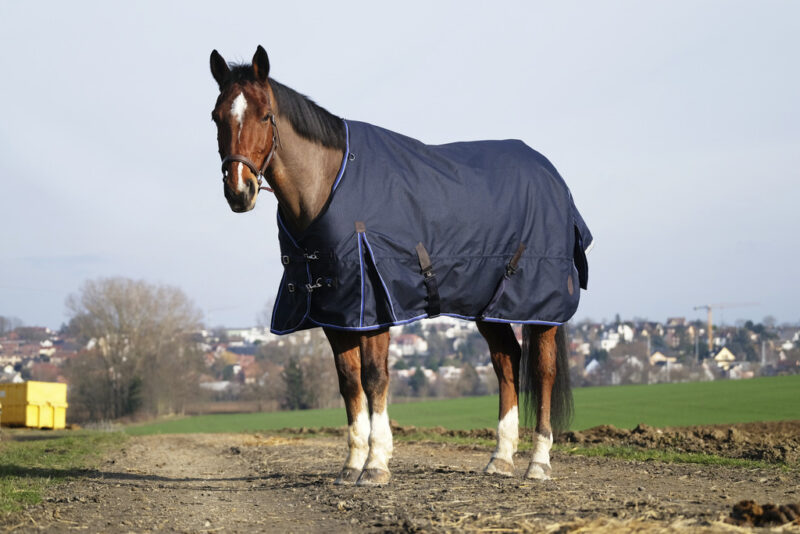 EQUITHÉME CLASSIC DÆKKEN 1200 D - 100 GRAM
