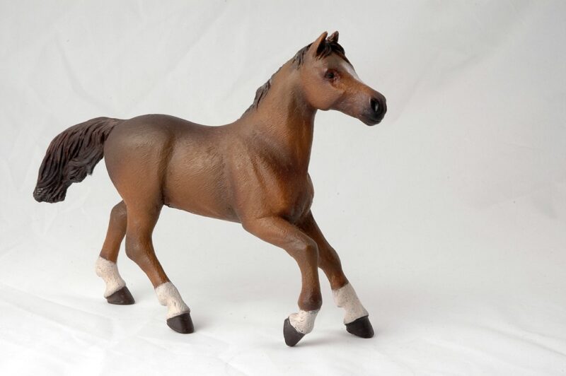 PAPO ANGLO-ARABER HEST