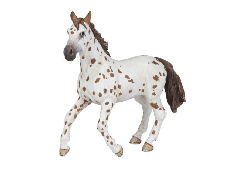 PAPO APPALOOSA HEST