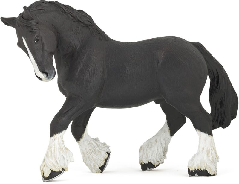 PAPO SHIRE HEST