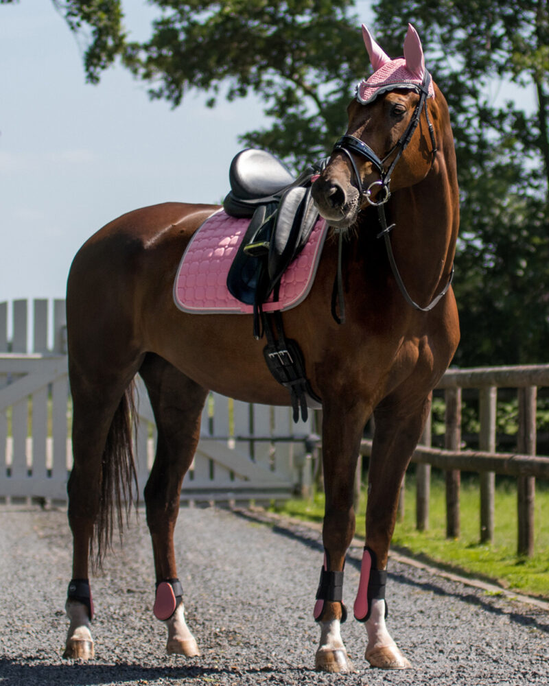 QHP BAGBENSGAMACHER - FLAMINGO PINK - Image 2