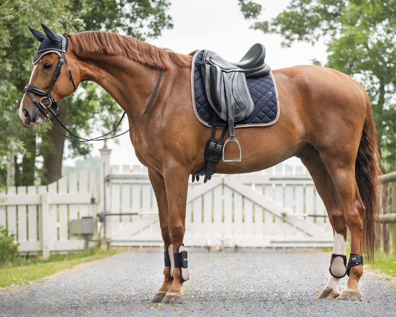 QHP BAGBENSGAMACHER - TAUPE - Image 3