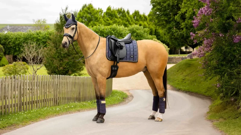 LEMIEUX LOIRE CLASSIC DRESSURUNDERLAG - DUSK BLUE - Image 4