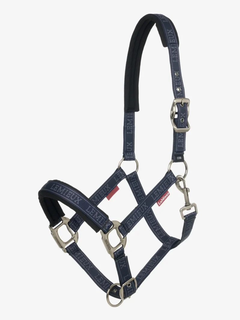 LEMIEUX LOGO GRIME - NAVY