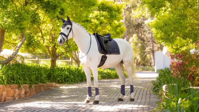LEMIEUX LOIRE CLASSIC DRESSURUNDERLAG - DUSK BLUE - Image 2