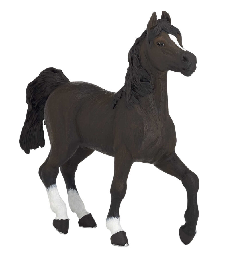 PAPO ARABER HEST