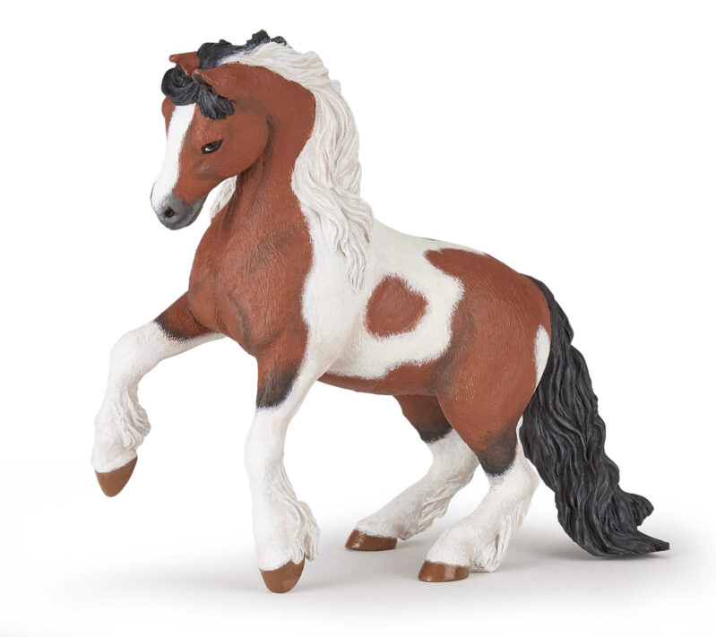 PAPO IRISH COB