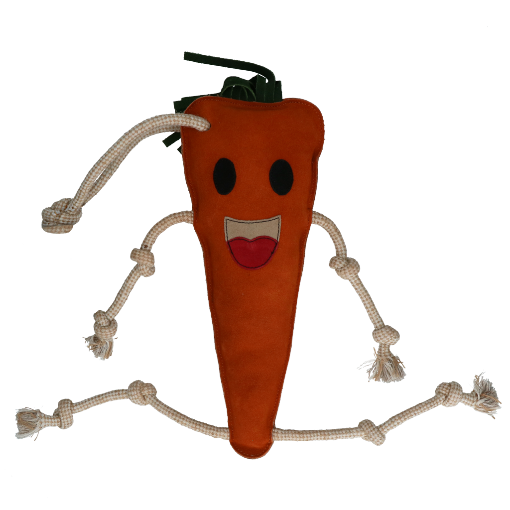 FOODIE FRIENDS HESTELEGETØJ - GULEROD - Image 2