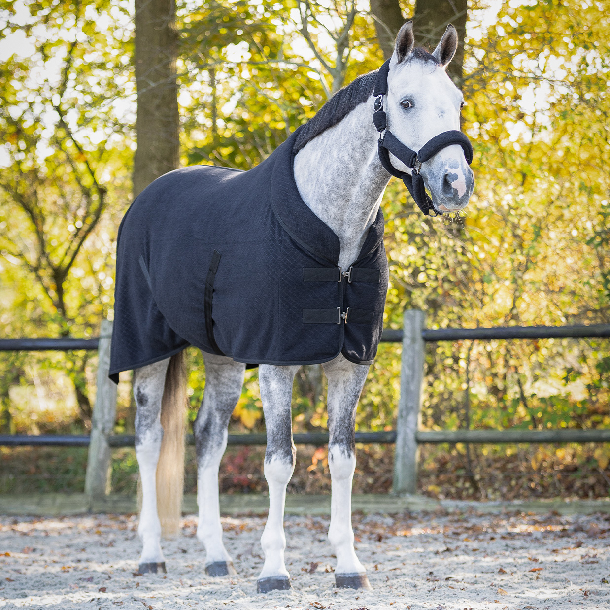 QHP FLEECEDÆKKEN ZAHRA - Image 2