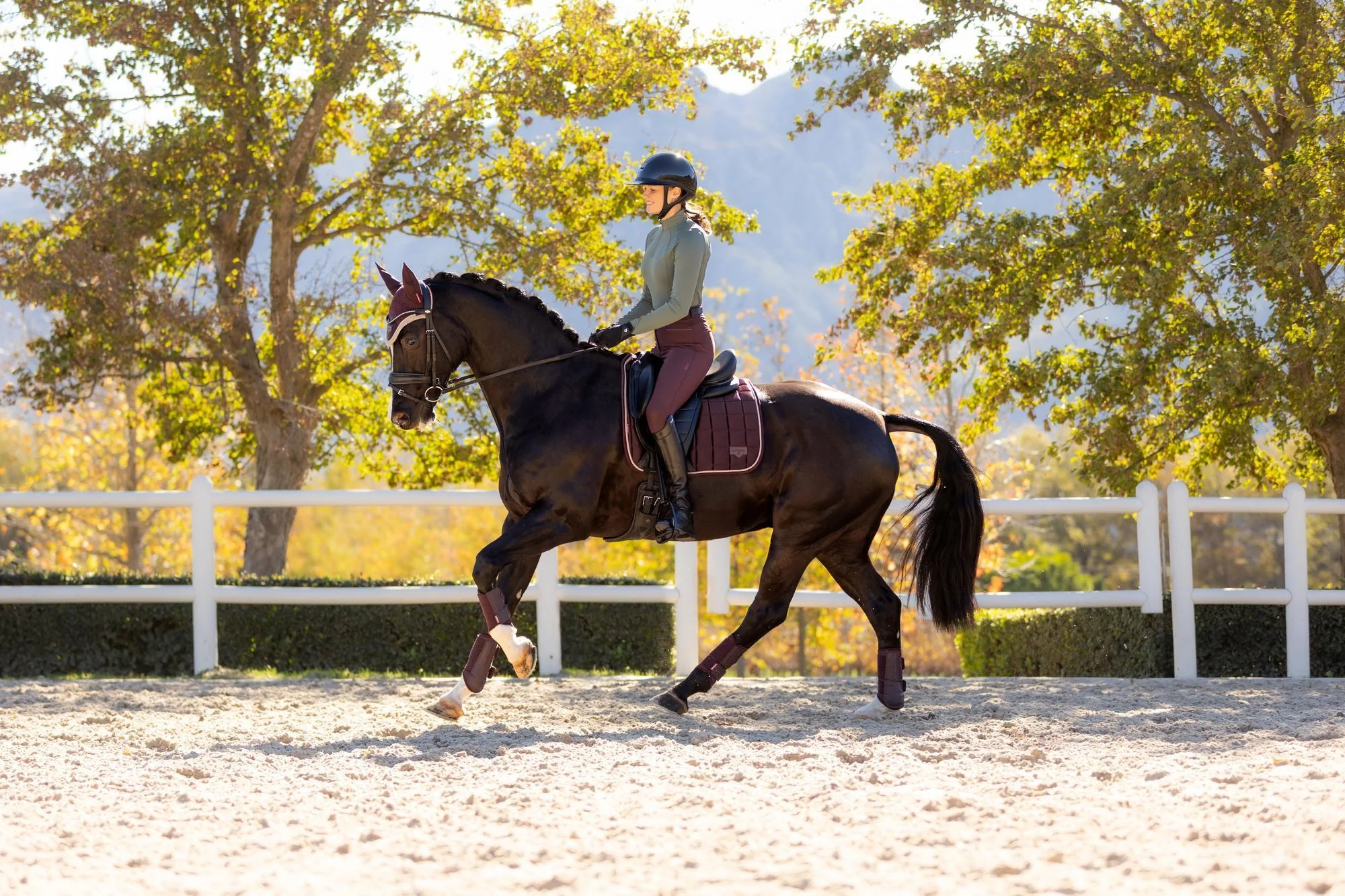 LEMIEUX DRESSURUNDERLAG CLASSIC LOIRE - DAMSON - Image 7