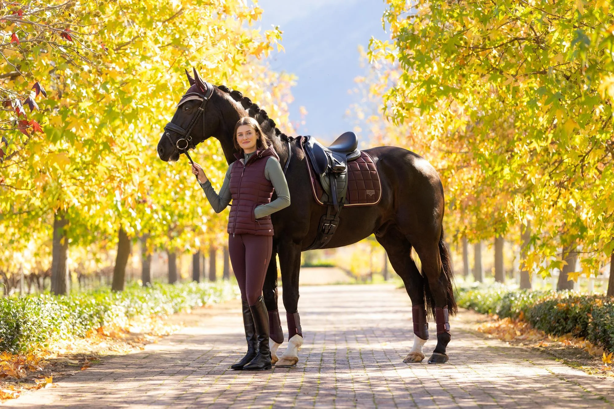 LEMIEUX DRESSURUNDERLAG CLASSIC LOIRE - DAMSON - Image 10