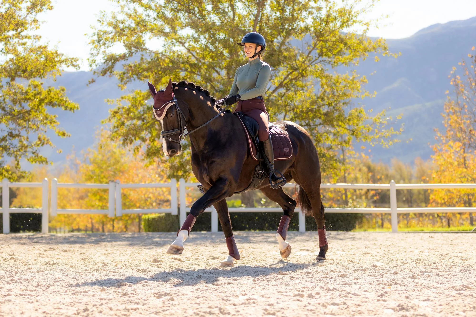 LEMIEUX DRESSURUNDERLAG CLASSIC LOIRE - DAMSON - Image 4