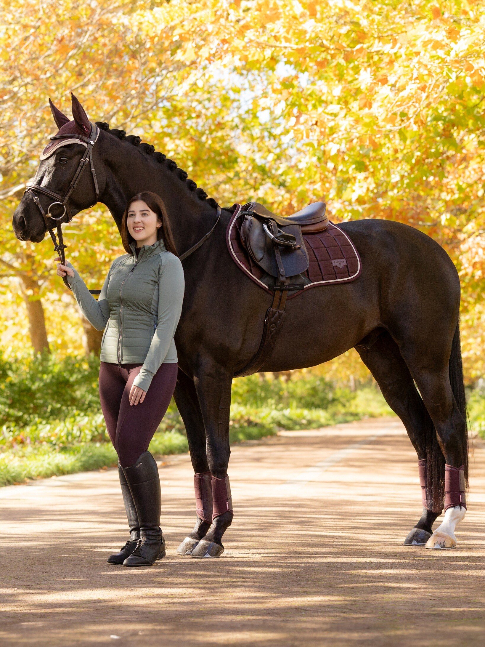 LEMIEUX SPRINGUNDERLAG CLASSIC LOIRE - DAMSON - Image 4