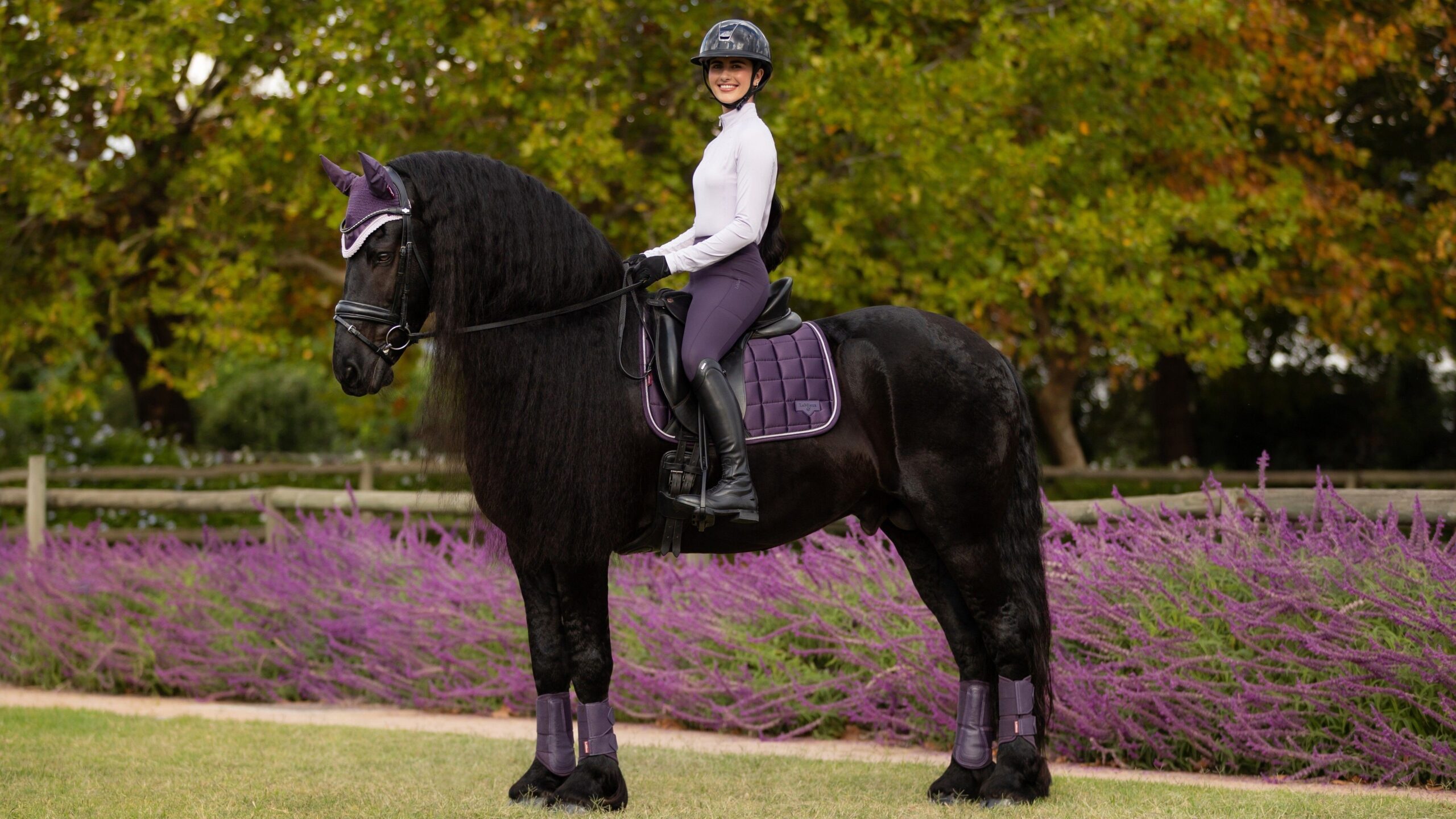 LEMIEUX DRESSURUNDERLAG CLASSIC LOIRE - JUNIPER - Image 2