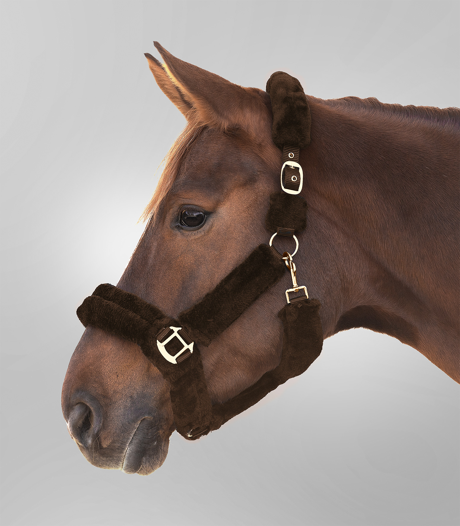 WH GRIME COZY - BRUN - Image 2