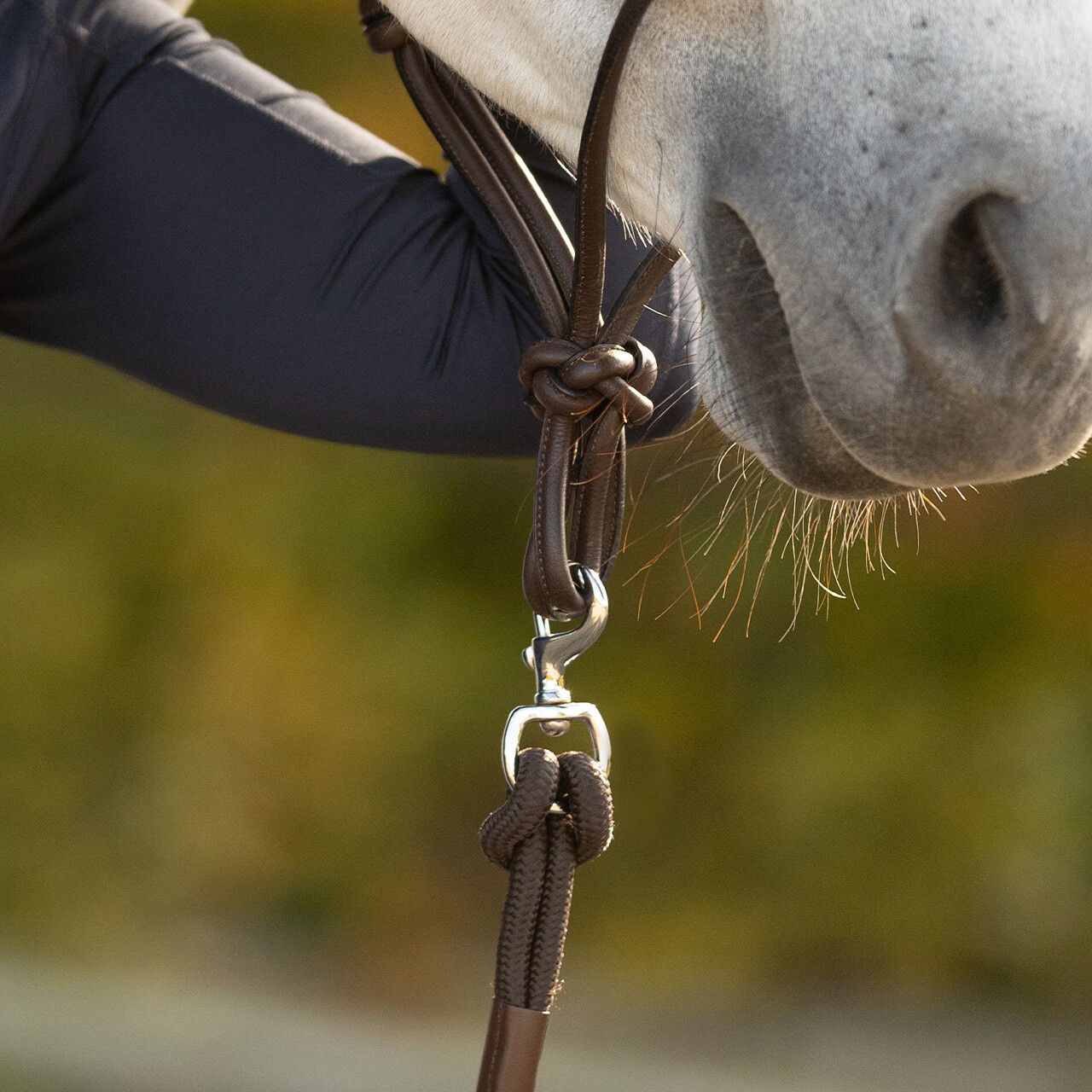 QHP TRÆNINGSTOV LIBERTA - 3 M. - Image 3