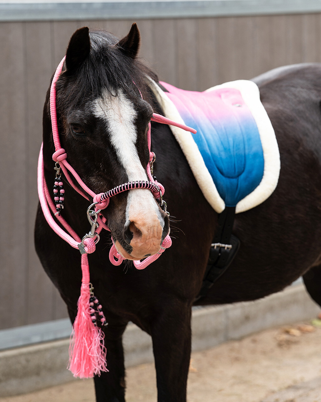 QHP BAREBACK PAD ROSALYNN - Billede 4