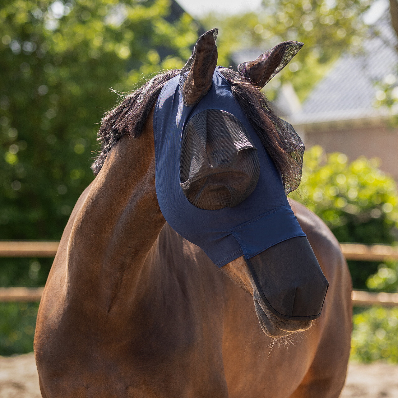 QHP FLUEMASKE SUPER BUG MED MULE - NAVY - Billede 2