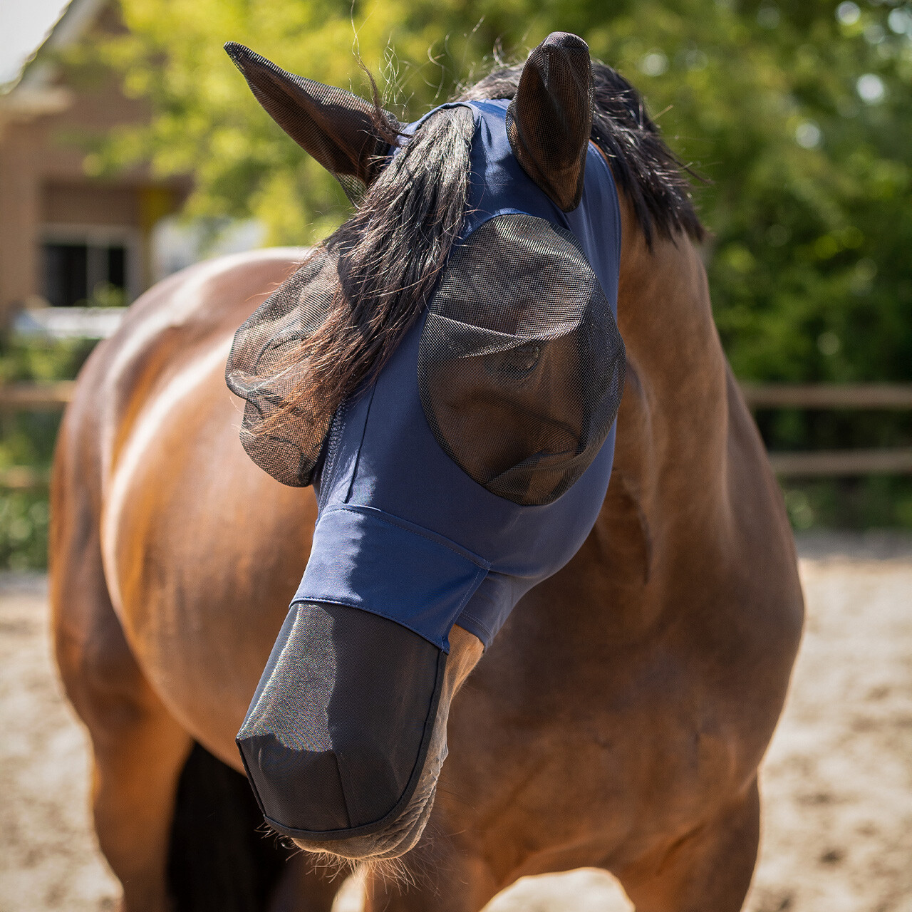 QHP FLUEMASKE SUPER BUG MED MULE - NAVY