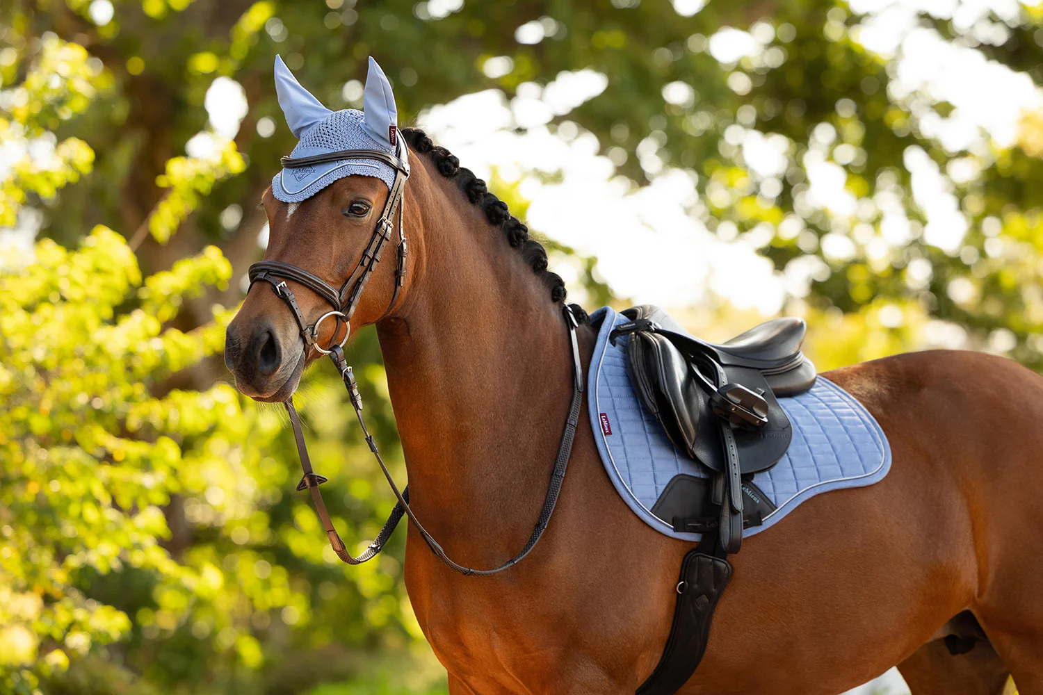 LEMIEUX SPRINGUNDERLAG LOIRE CLASSIC - POWDER BLUE - Billede 5