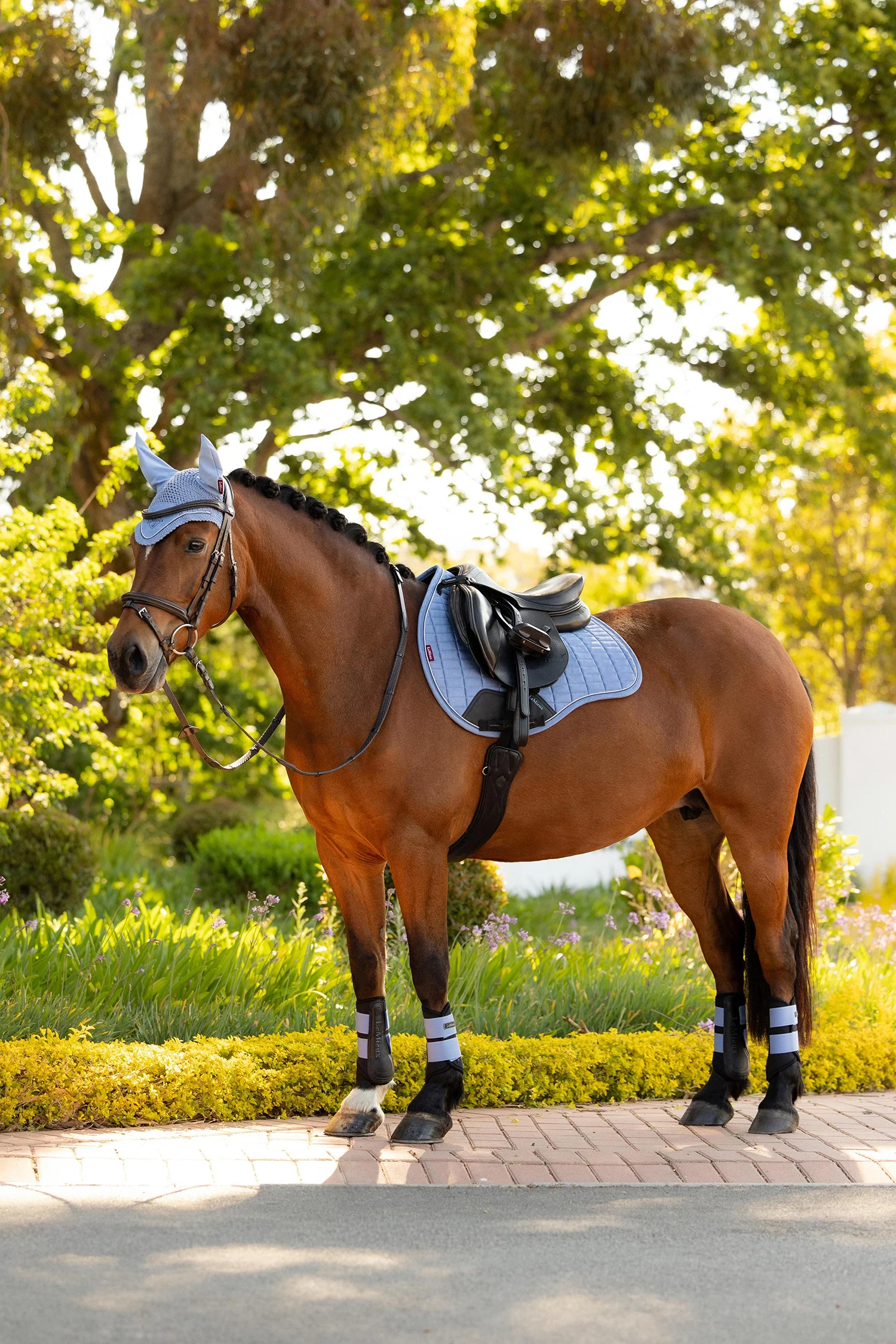 LEMIEUX SPRINGUNDERLAG LOIRE CLASSIC - POWDER BLUE - Billede 8