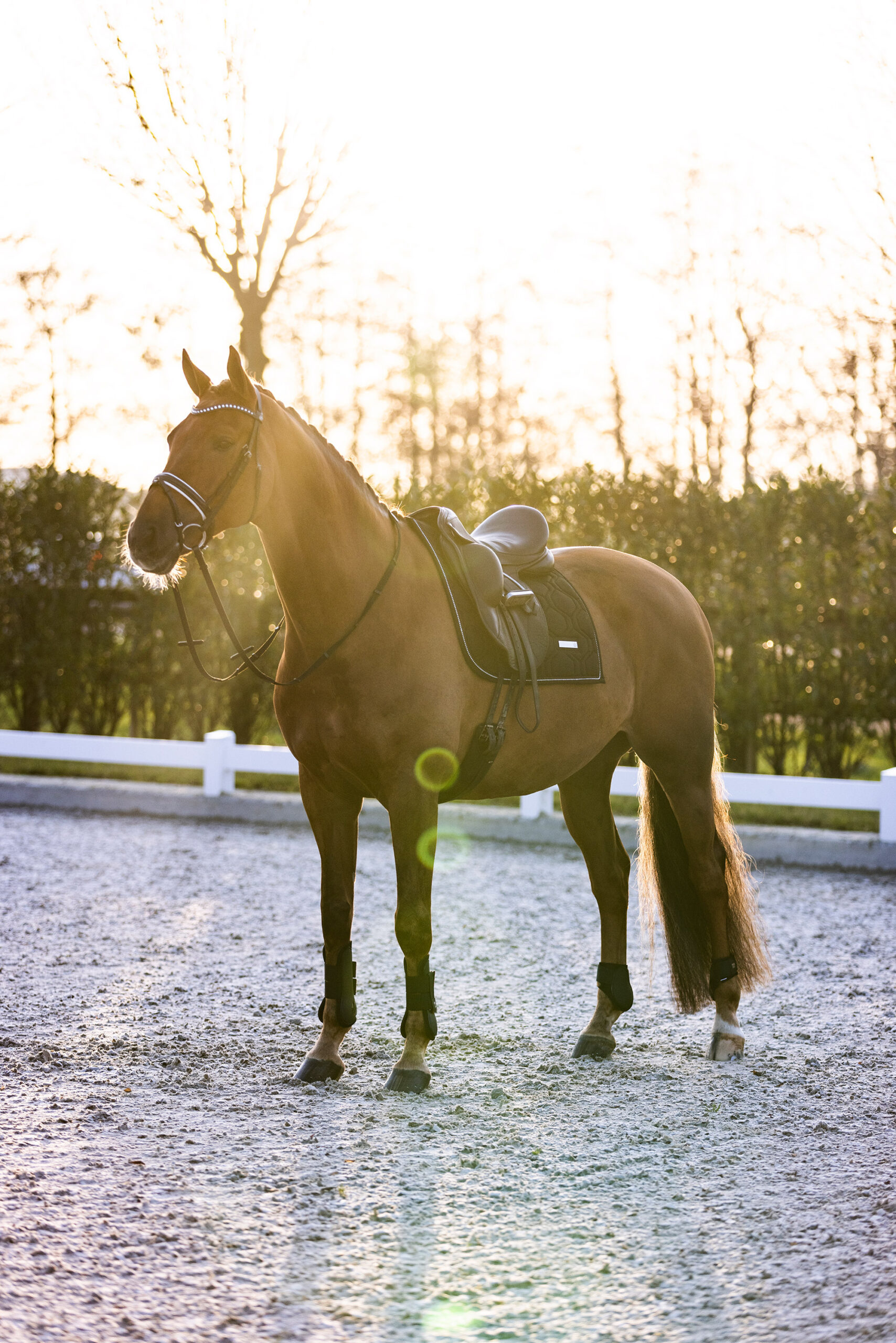 IRH GAMACHER LOVELY - FORBEN - Billede 8