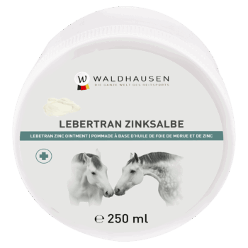 WH ZINKSALVE - 250 G.